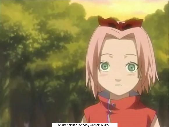 nu este poze cu sakura